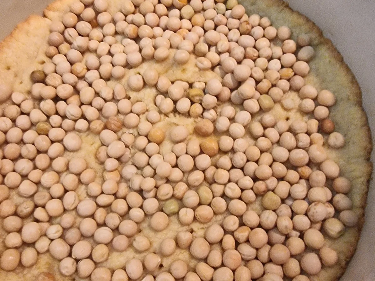 Rhabarber-Baiser-Tarte - Rezept - Bild Nr. 17068