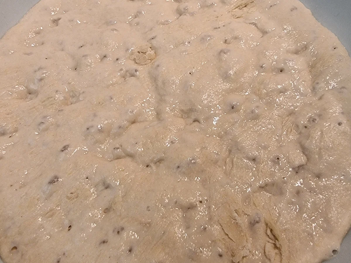 Tomaten-Käse-Focaccia - Rezept - Bild Nr. 17069