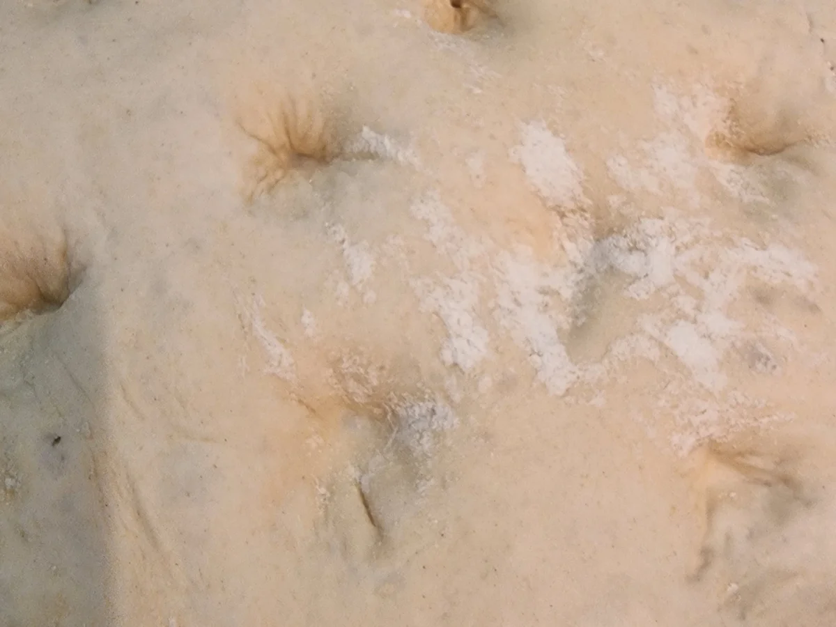 Tomaten-Käse-Focaccia - Rezept - Bild Nr. 17071