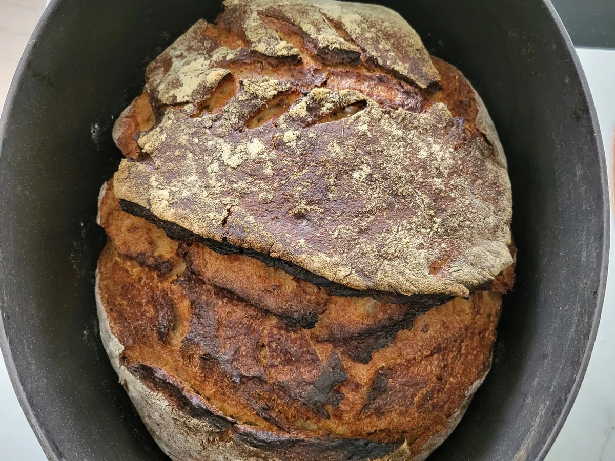 Weizensauerteigbrot mit Roggenschrot - Rezept - Bild Nr. 17063