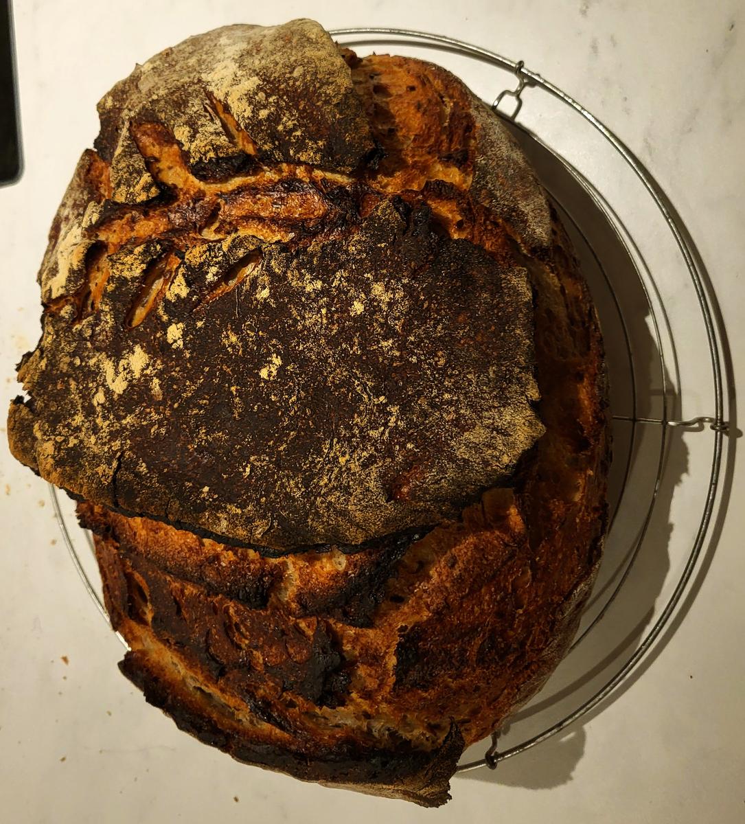 Weizensauerteigbrot mit Roggenschrot - Rezept - Bild Nr. 17065