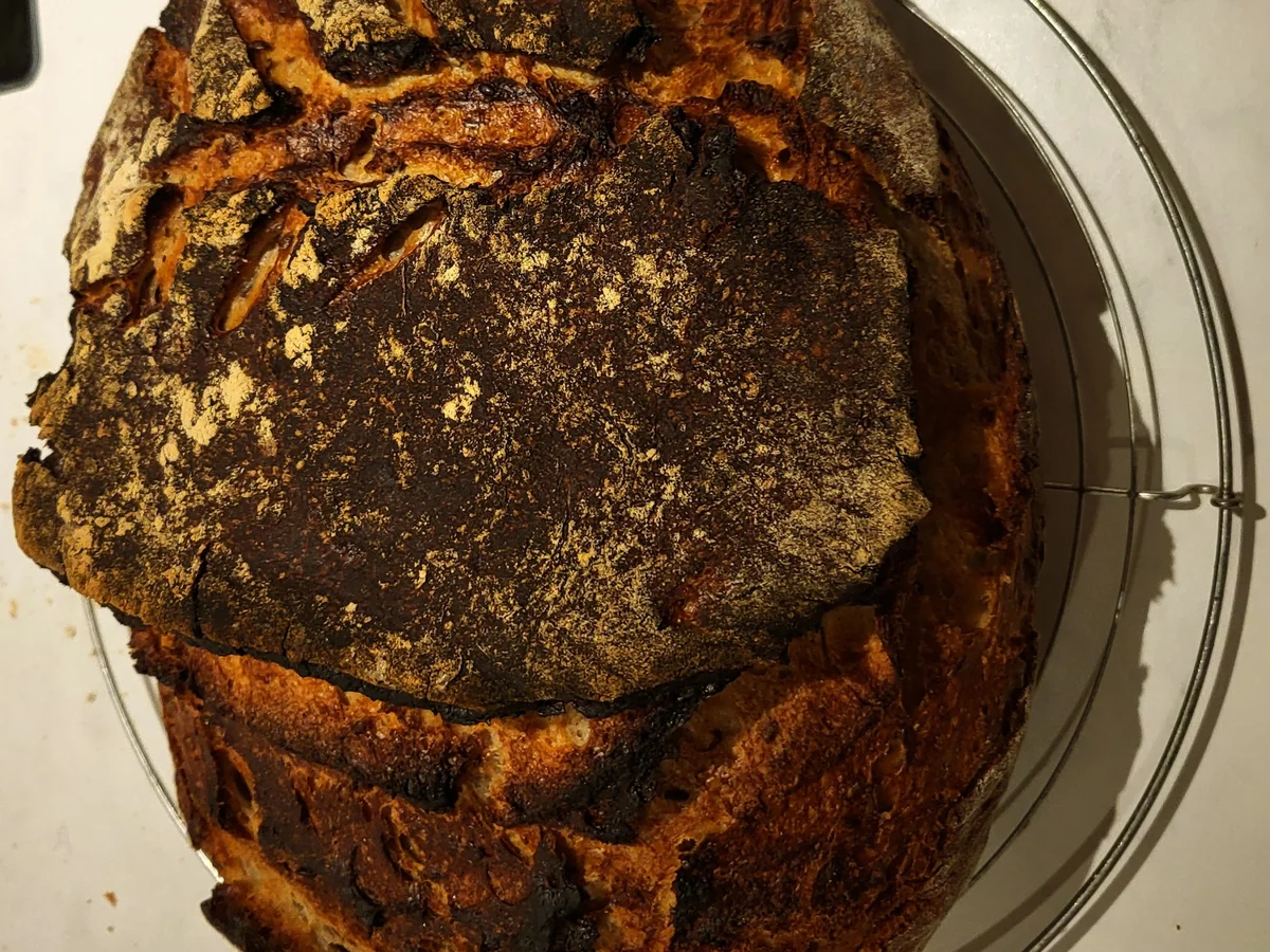 Weizensauerteigbrot mit Roggenschrot - Rezept - Bild Nr. 17065