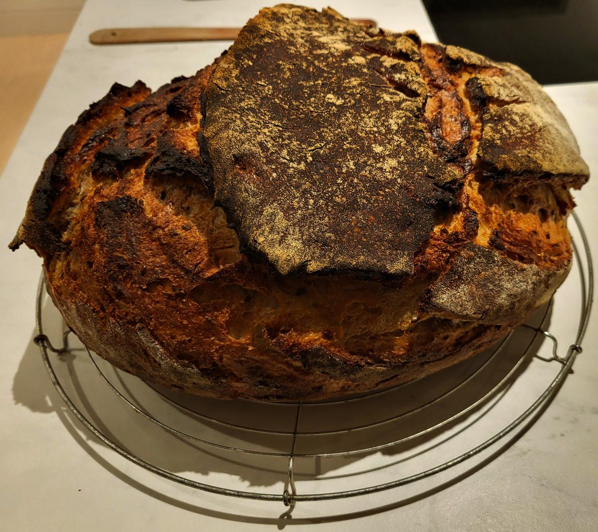 Weizensauerteigbrot mit Roggenschrot - Rezept - Bild Nr. 17066