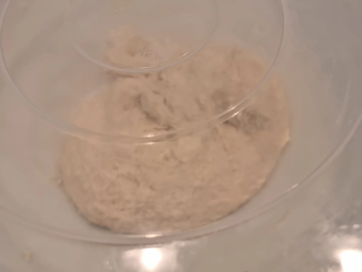 Rezept: Pan-Pizza Bild Nr. 17066 Pan-Pizza - Rezept - Bild Nr. 17066