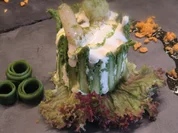 Vorspeise: Spargelmousse mit Garnele - Rezept - Bild Nr. 17076