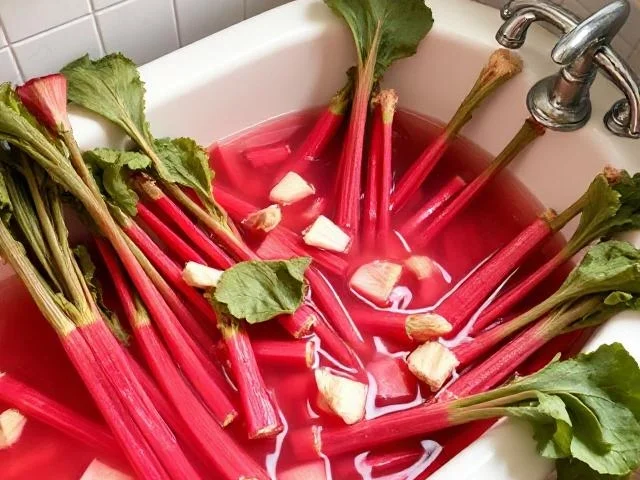 Rezept: Himmelstochter mit Rhabarber Bild Nr. 17270 Himmelstochter mit Rhabarber - Rezept - Bild Nr. 17270