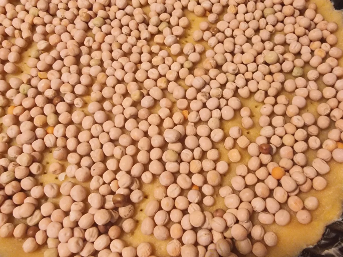 Zitronen-Tarte - Rezept - Bild Nr. 17081