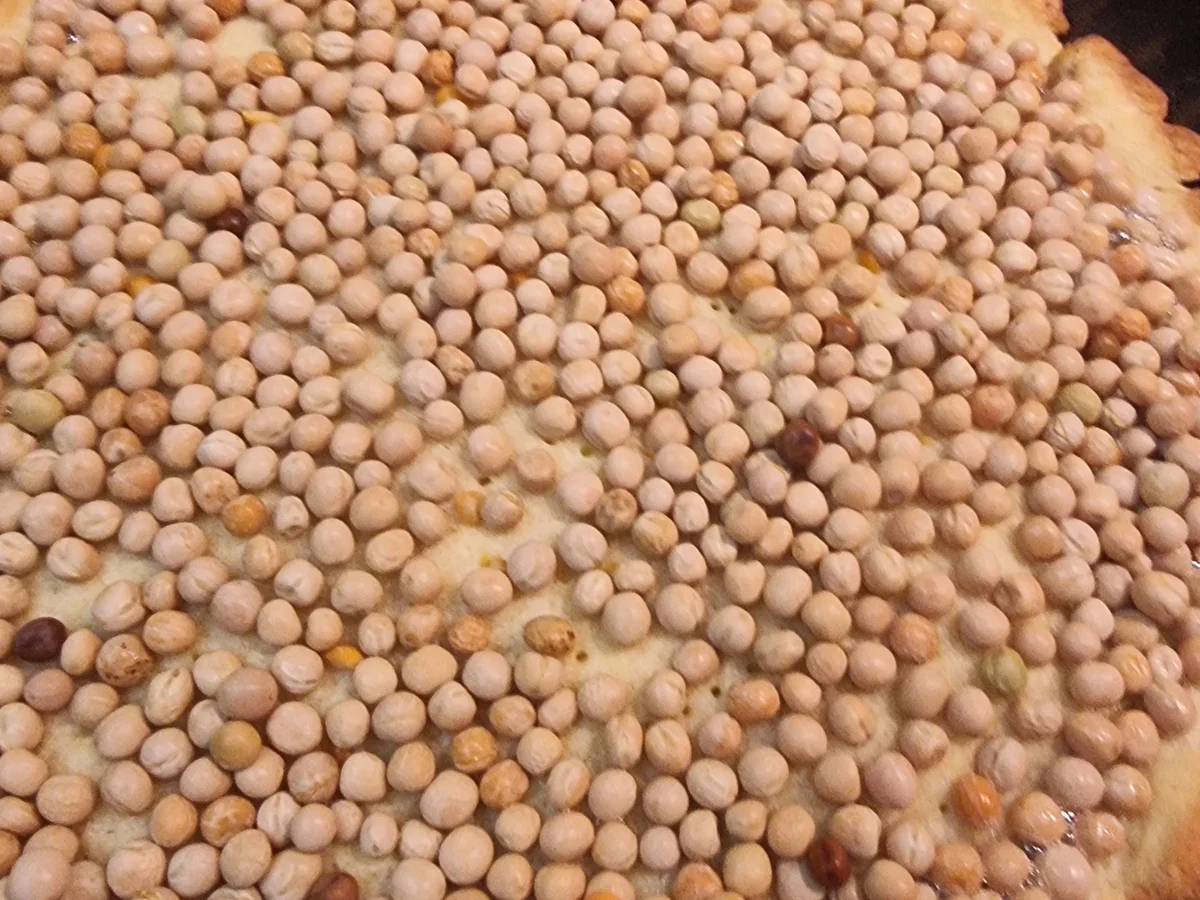 Zitronen-Tarte - Rezept - Bild Nr. 17082