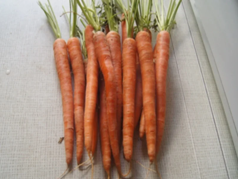 Suppentopf mit Spargel, Bundmöhren und Mettbällchen - Rezept - Bild Nr. 4