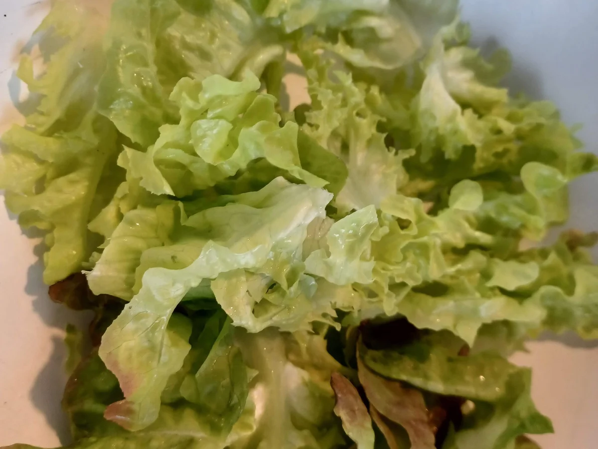 Eichblattsalat fruchtig angerichtet - Rezept - Bild Nr. 17080