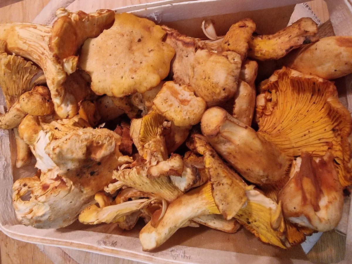 Rezept: Gemüse-Pfanne Bild Nr. 17086 Gemüse-Pfanne - Rezept - Bild Nr. 17086