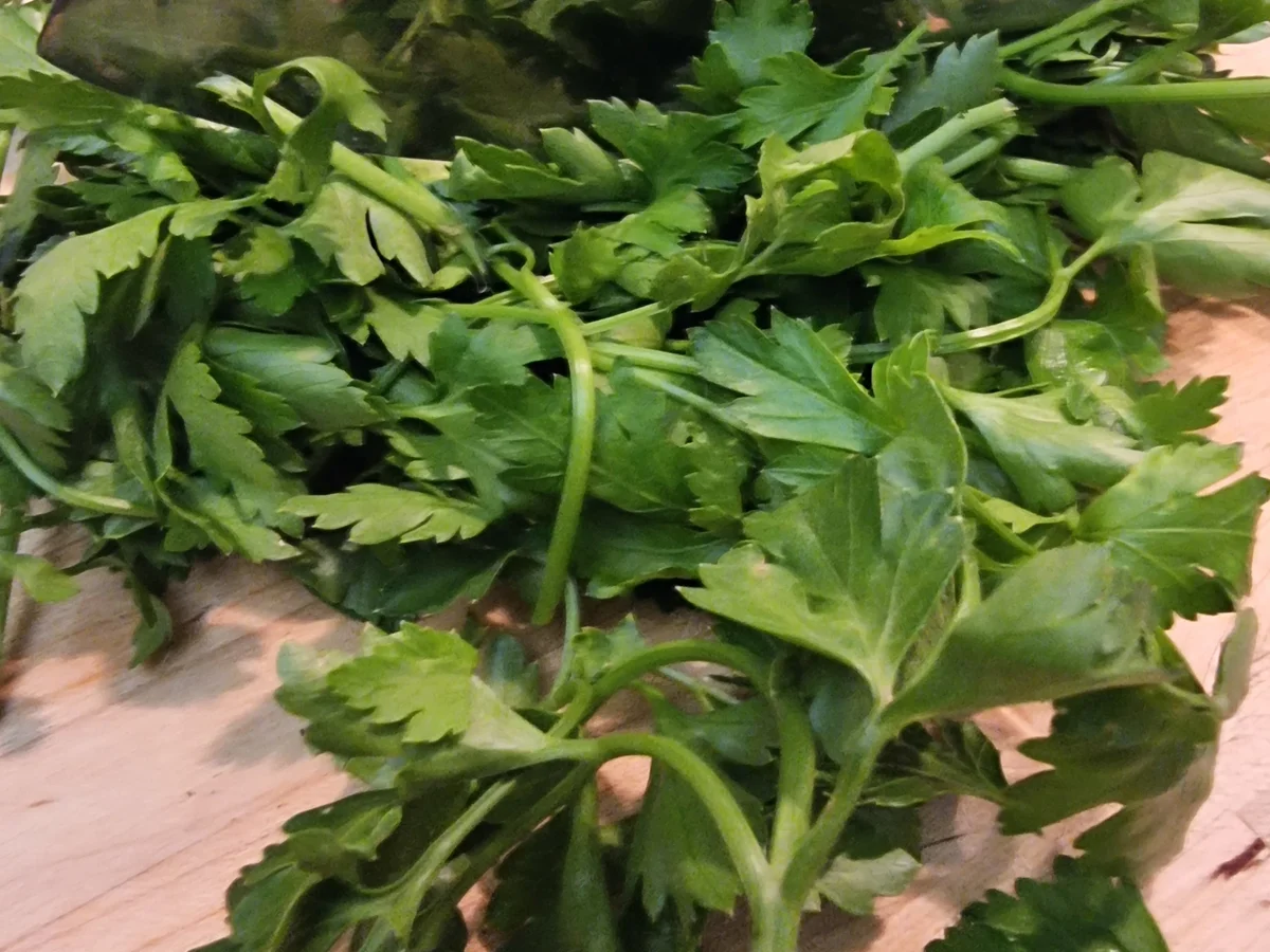 Rezept: Gemüse-Pfanne Bild Nr. 17095 Gemüse-Pfanne - Rezept - Bild Nr. 17095