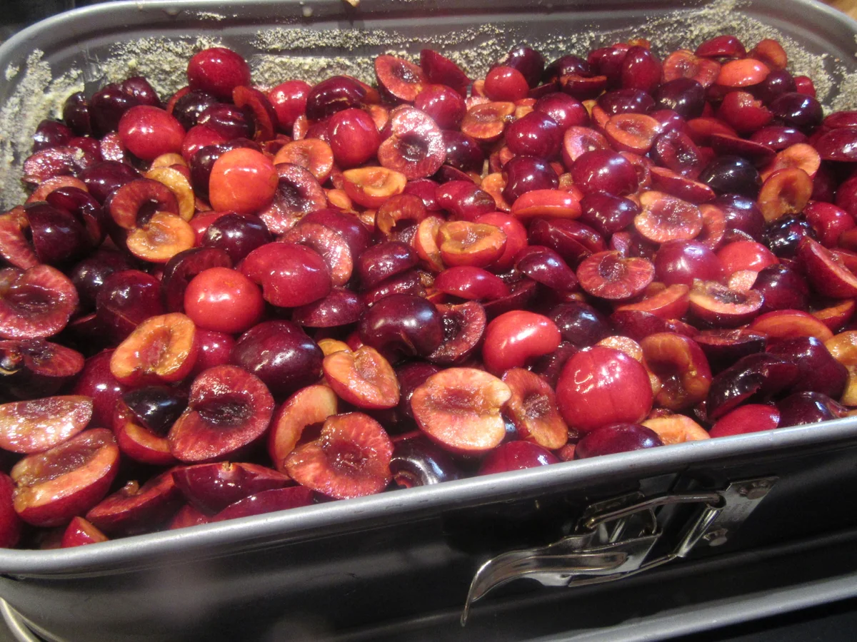 Backen: Schoko-Streusel-Kuchen mit Kirschen - Rezept - Bild Nr. 17084