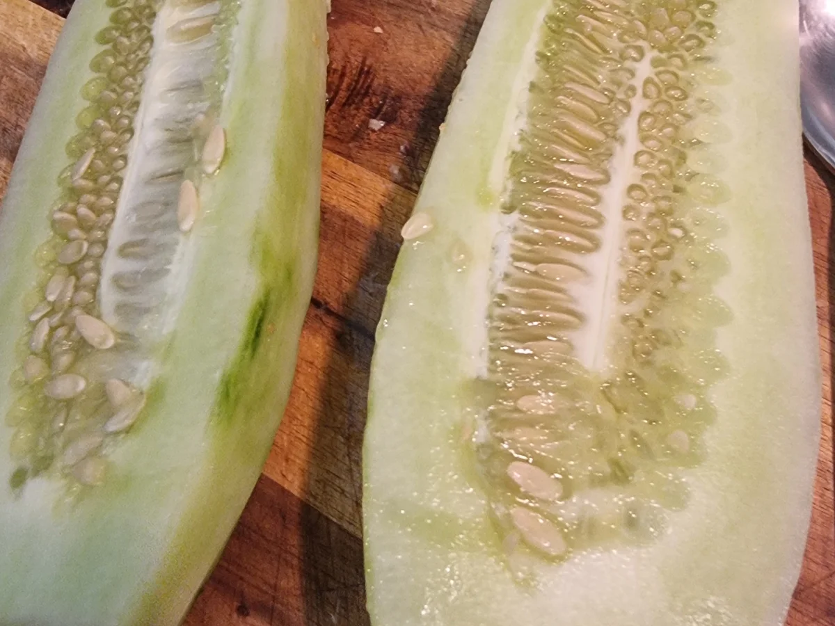 Bouletten auf Schmorgurken-Kartoffeln-Rahm - Rezept - Bild Nr. 17089