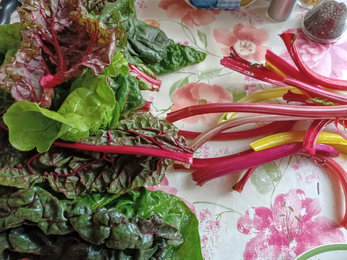 Gnocchi - Mangold - Pfanne - Rezept - Bild Nr. 17085