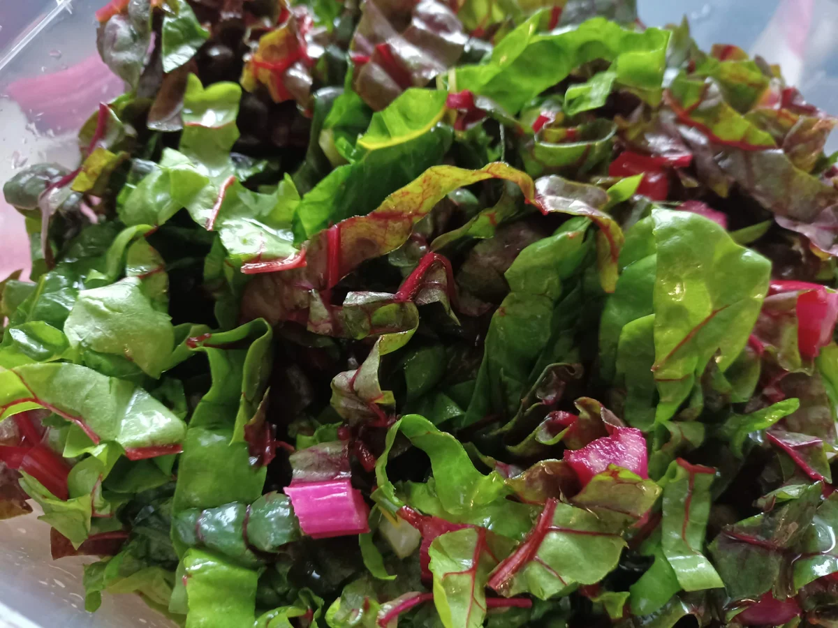 Gnocchi - Mangold - Pfanne - Rezept - Bild Nr. 17086