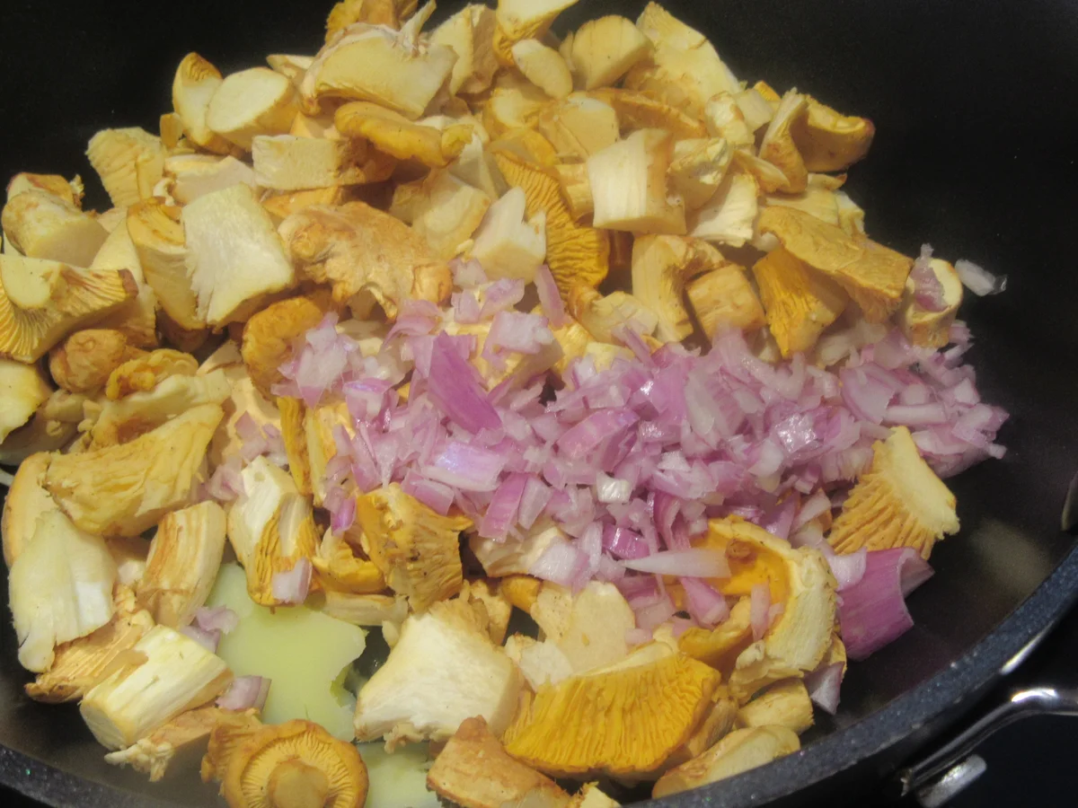 Pasta: Teigtaschen mit Pfifferlingfüllung - Rezept - Bild Nr. 17093