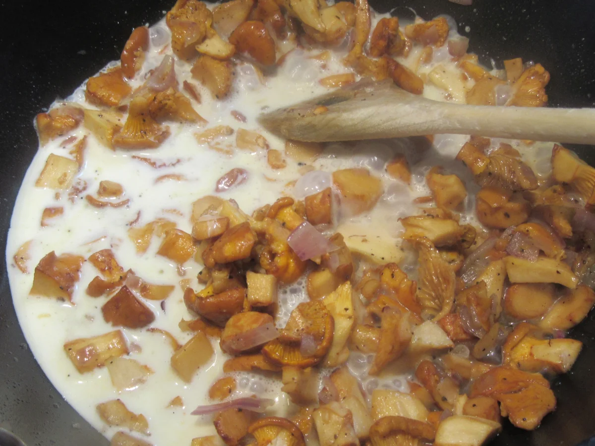 Pasta: Teigtaschen mit Pfifferlingfüllung - Rezept - Bild Nr. 17094