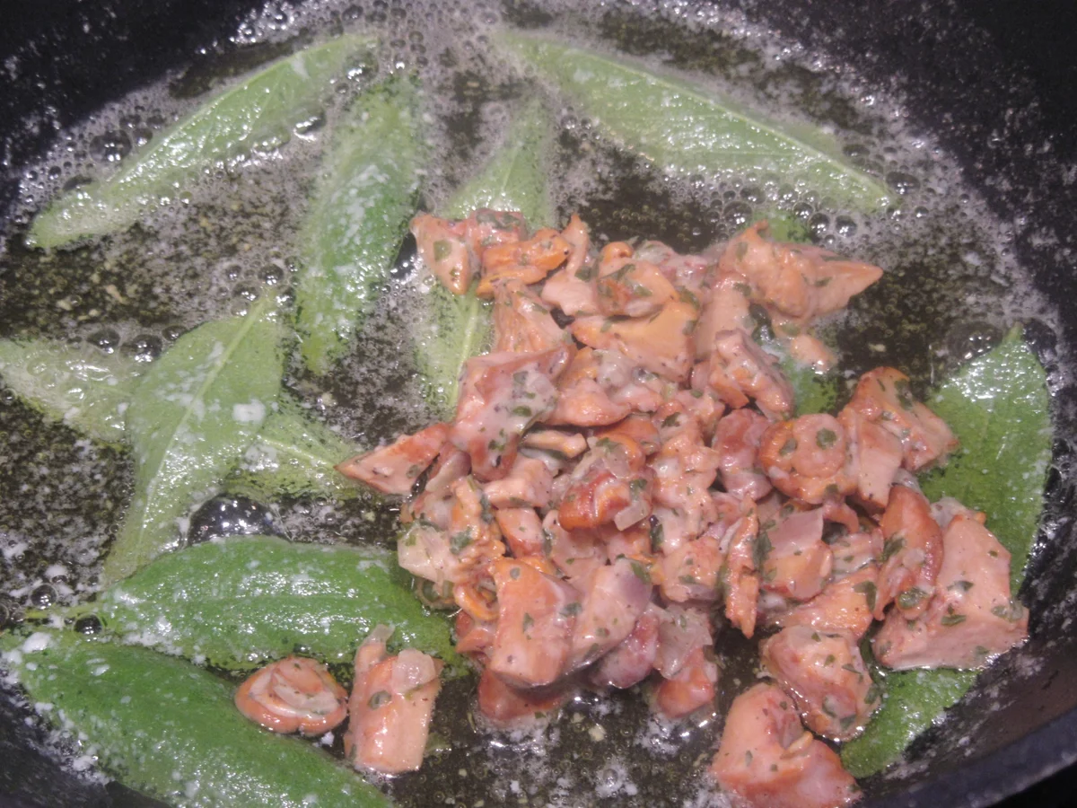 Pasta: Teigtaschen mit Pfifferlingfüllung - Rezept - Bild Nr. 17098