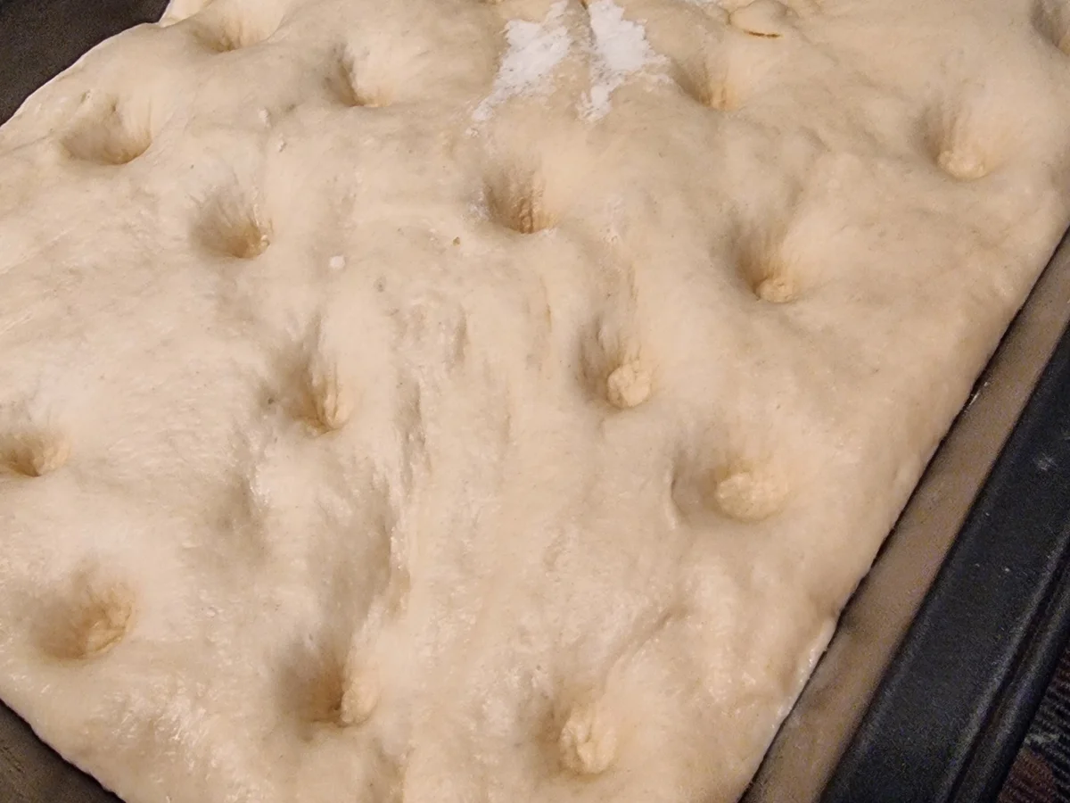 Rezept: Focaccia mit Zucchini und Schafskäse Bild Nr. 17096 Focaccia mit Zucchini und Schafskäse - Rezept - Bild Nr. 17096