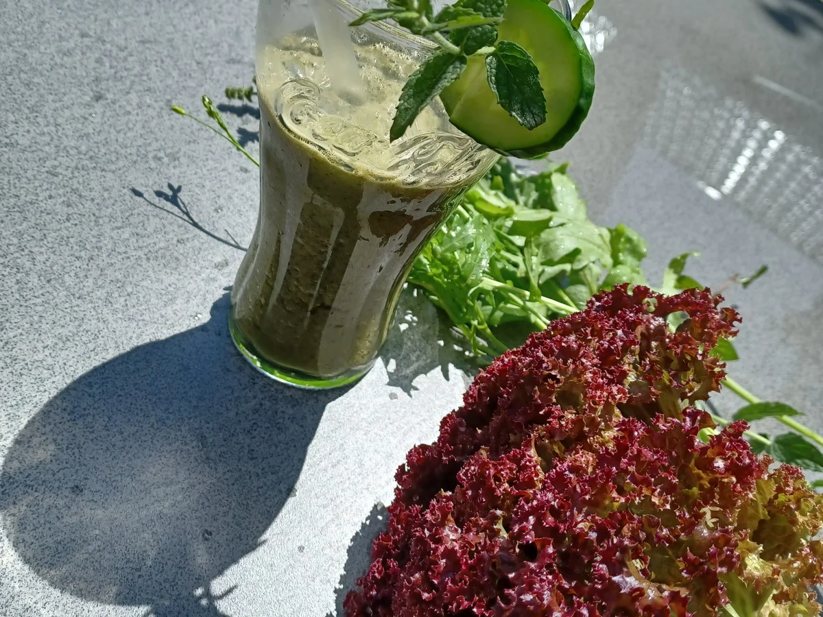 Grüner Smoothie - Rezept - Bild Nr. 17090