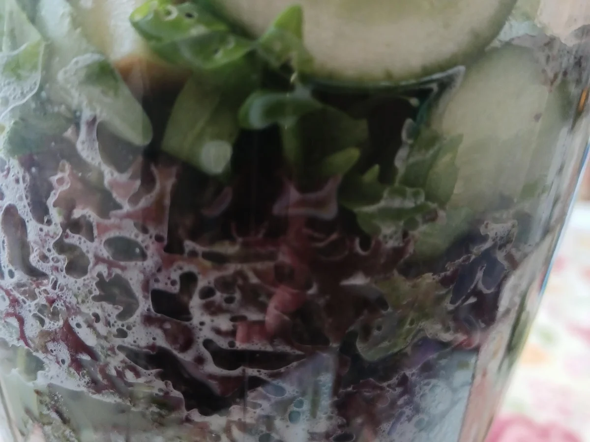 Grüner Smoothie - Rezept - Bild Nr. 17095