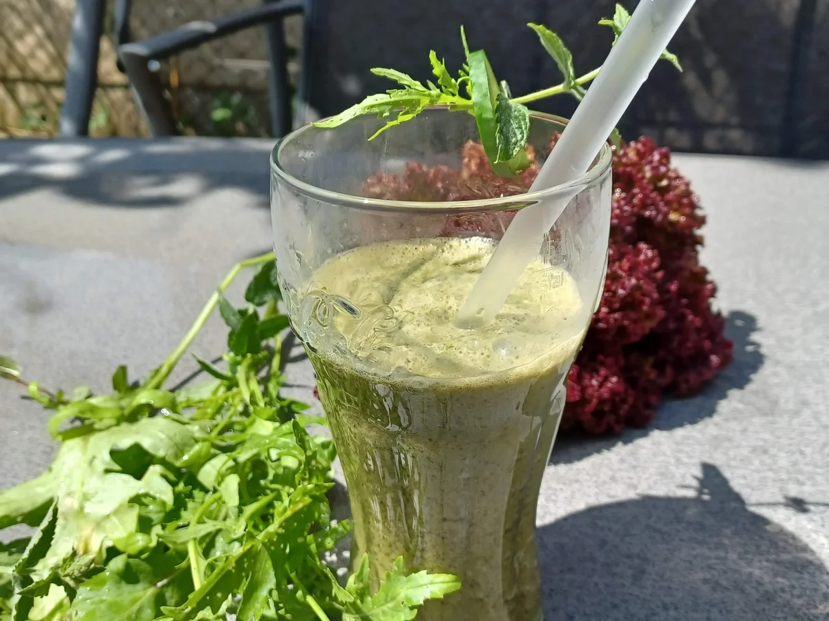 Grüner Smoothie - Rezept - Bild Nr. 17100