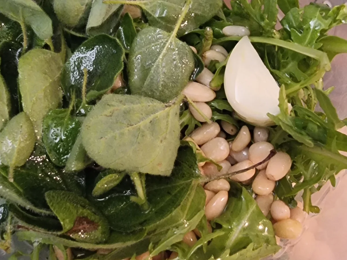 Bunter Nudelsalat - Rezept - Bild Nr. 17093