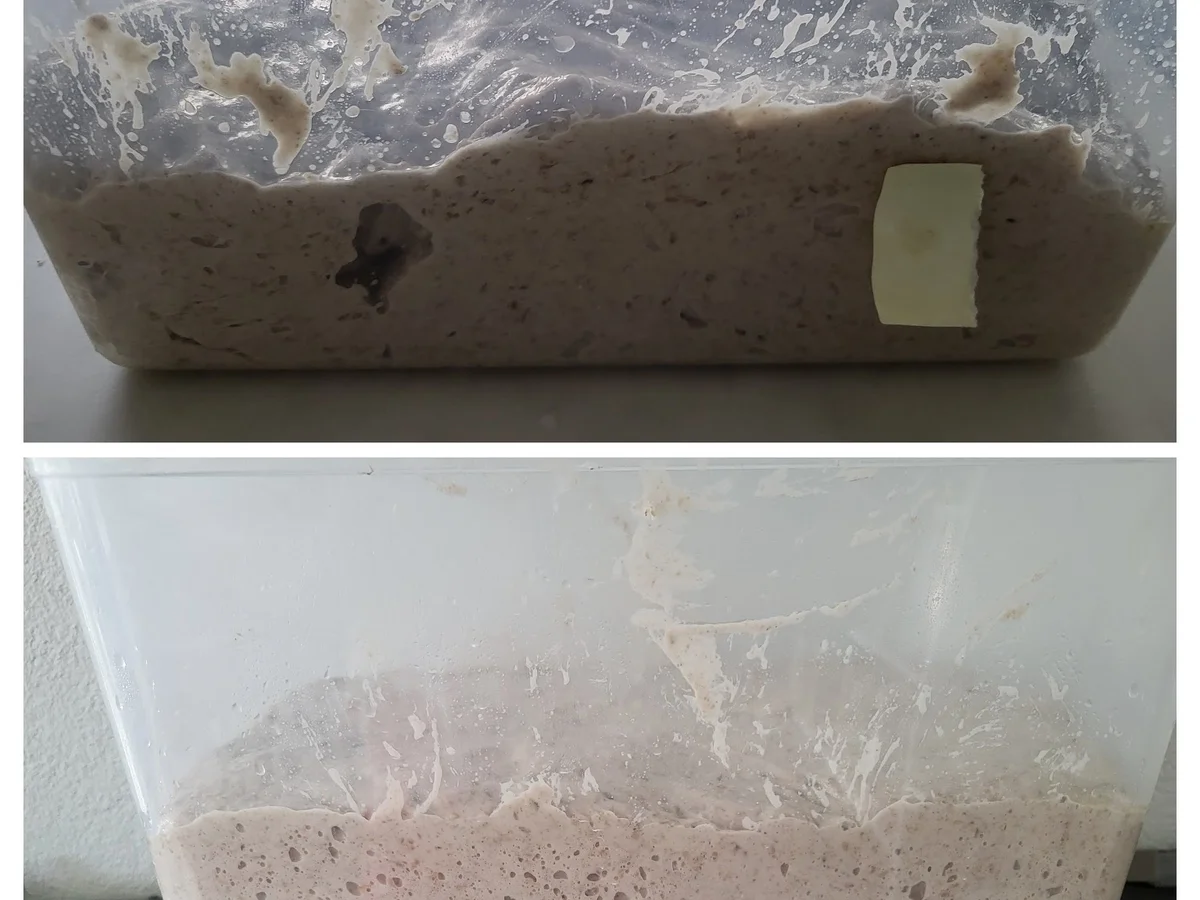 Weizensauerteigbrot mit Grünkernschrot - Rezept - Bild Nr. 4