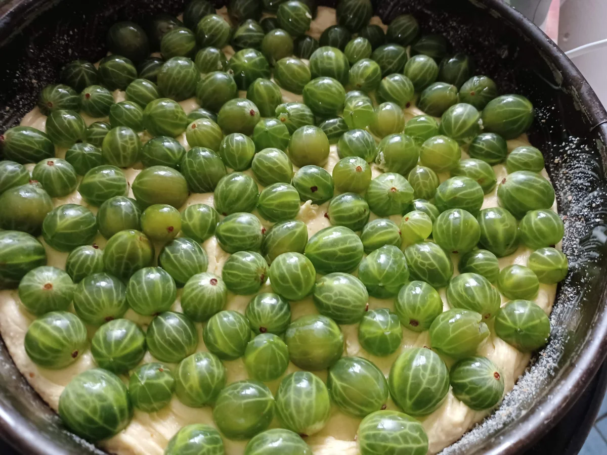 Rezept: Stachelbeer - Baiserkuchen Bild Nr. 17105 Stachelbeer - Baiserkuchen - Rezept - Bild Nr. 17105