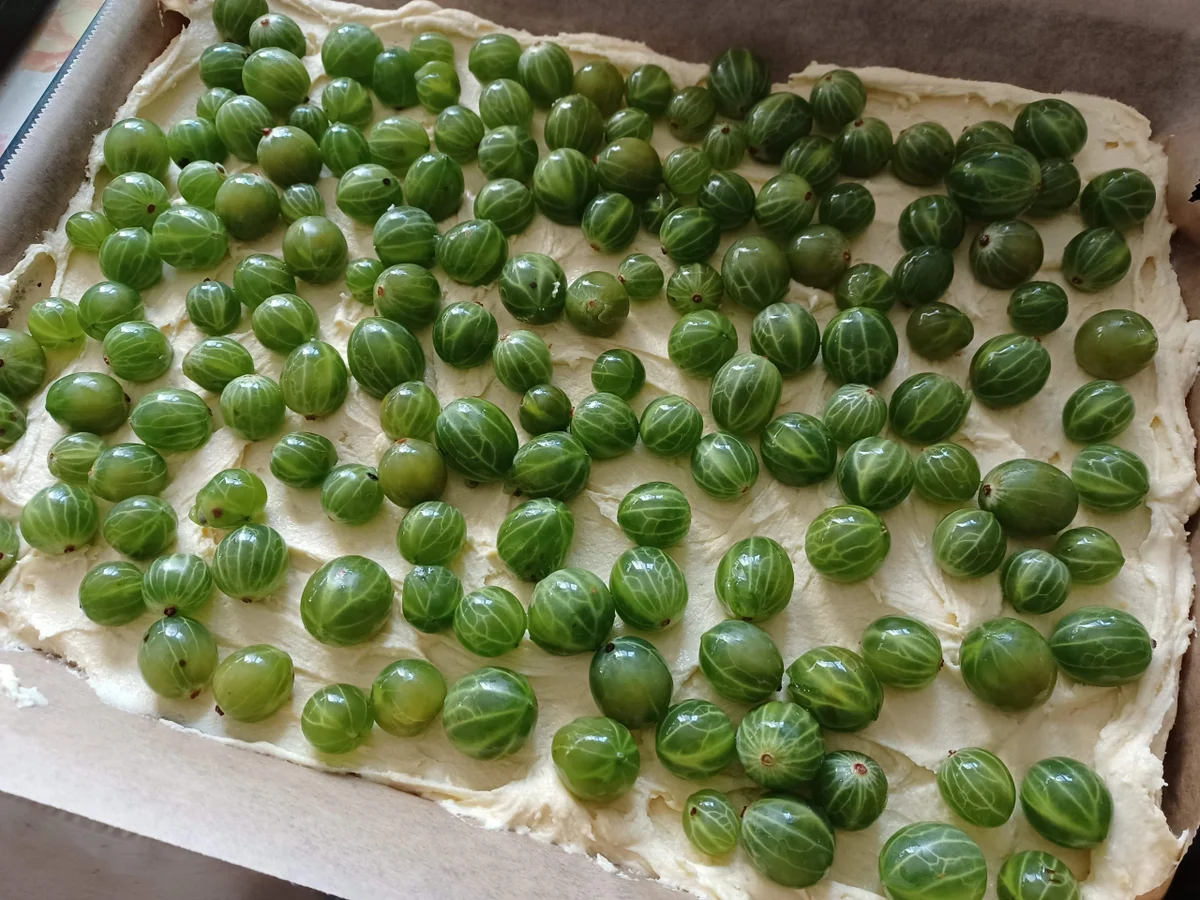 Rezept: Stachelbeer - Baiserkuchen Bild Nr. 17111 Stachelbeer - Baiserkuchen - Rezept - Bild Nr. 17111