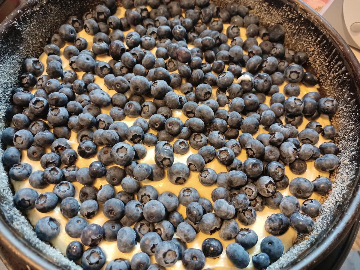 Blaubeerkuchen - Rezept - Bild Nr. 17117