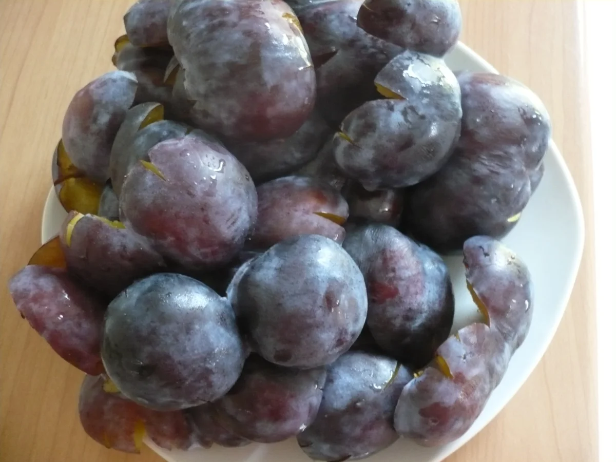 Rezept: Streuselkuchen mit Zwetschen und Pudding Bild Nr. 17112 Streuselkuchen mit Zwetschen und Pudding - Rezept - Bild Nr. 17112