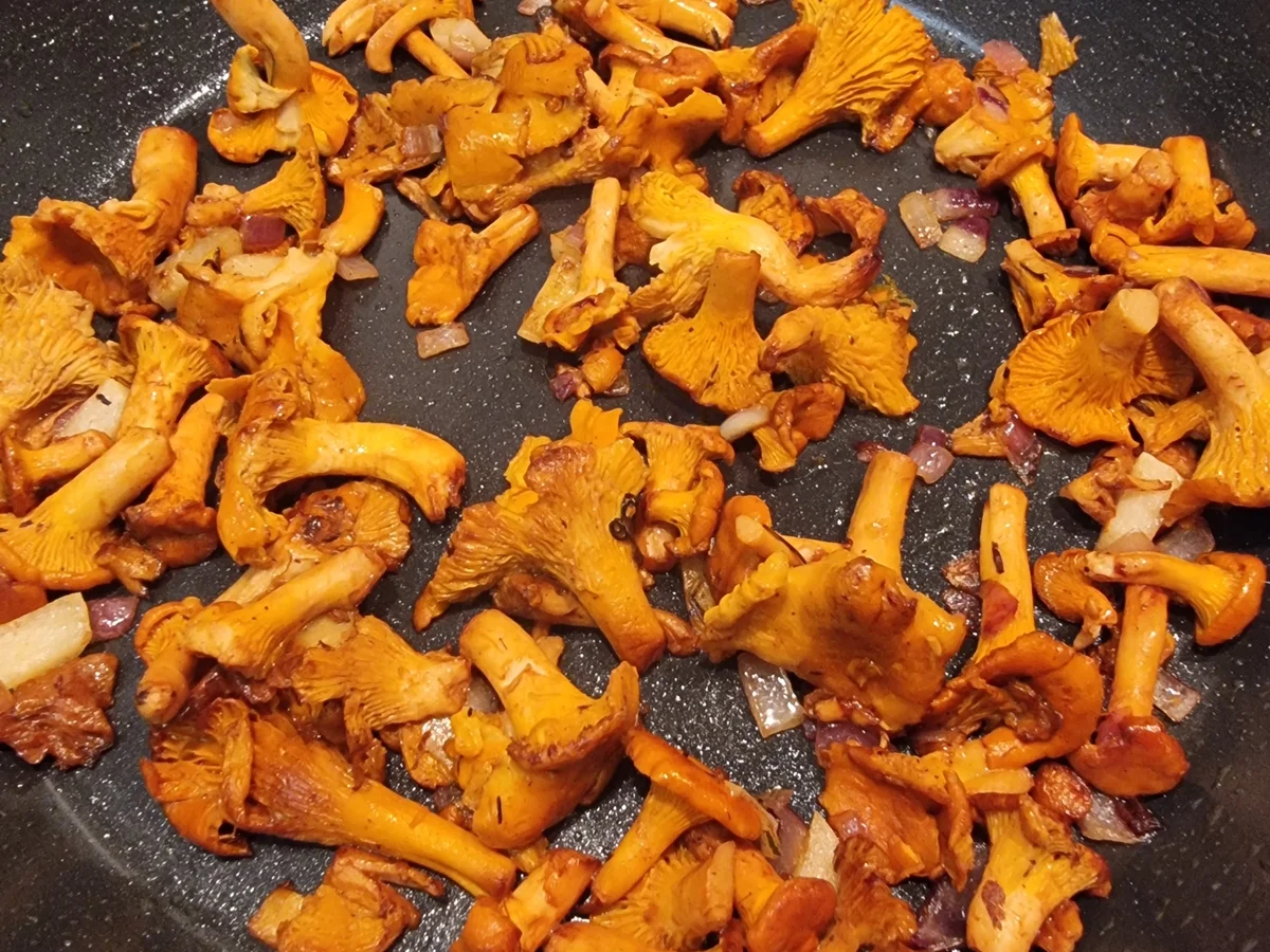 Pfifferlinge in Rahmsauce mit Serviettenknödeln - Rezept - Bild Nr. 17133