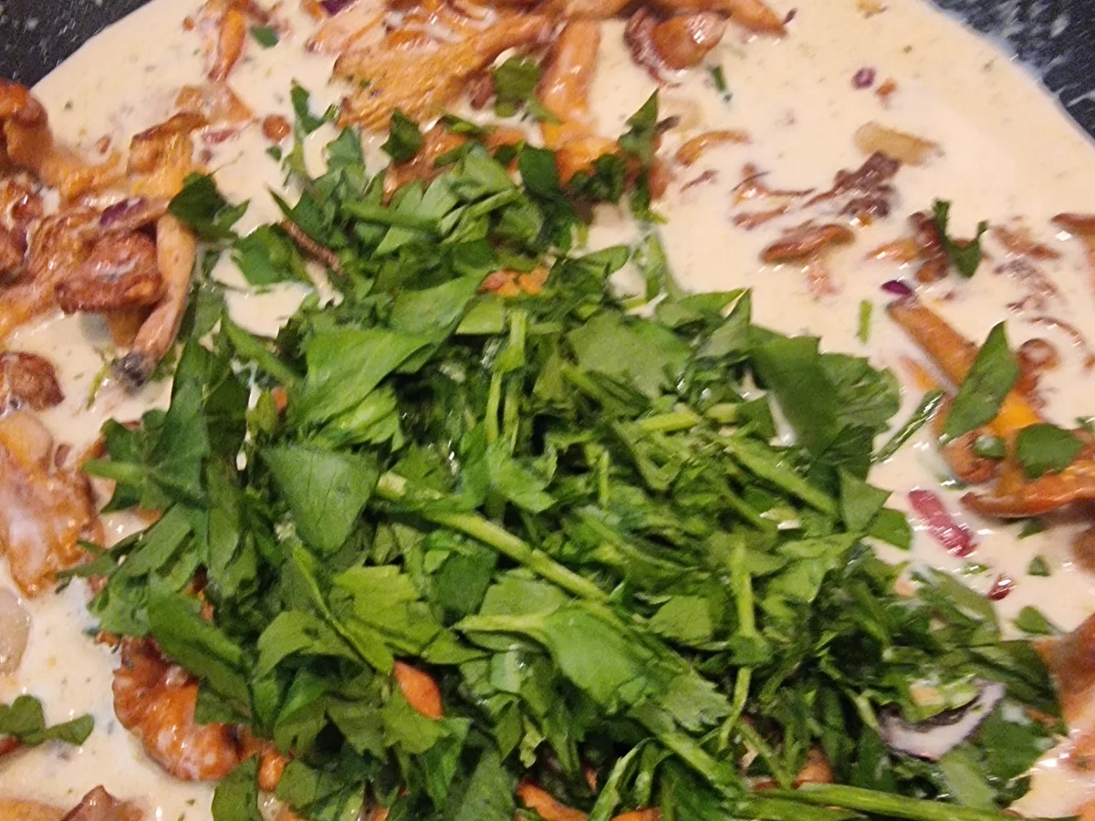 Pfifferlinge in Rahmsauce mit Serviettenknödeln - Rezept - Bild Nr. 17135