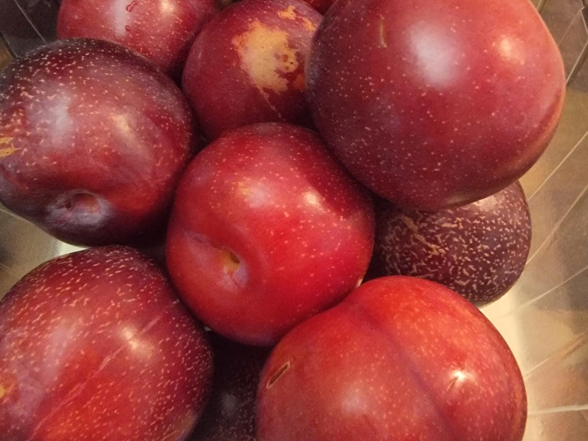 Pflaumen-Marmelade mit Thymian - Rezept - kochbar.de