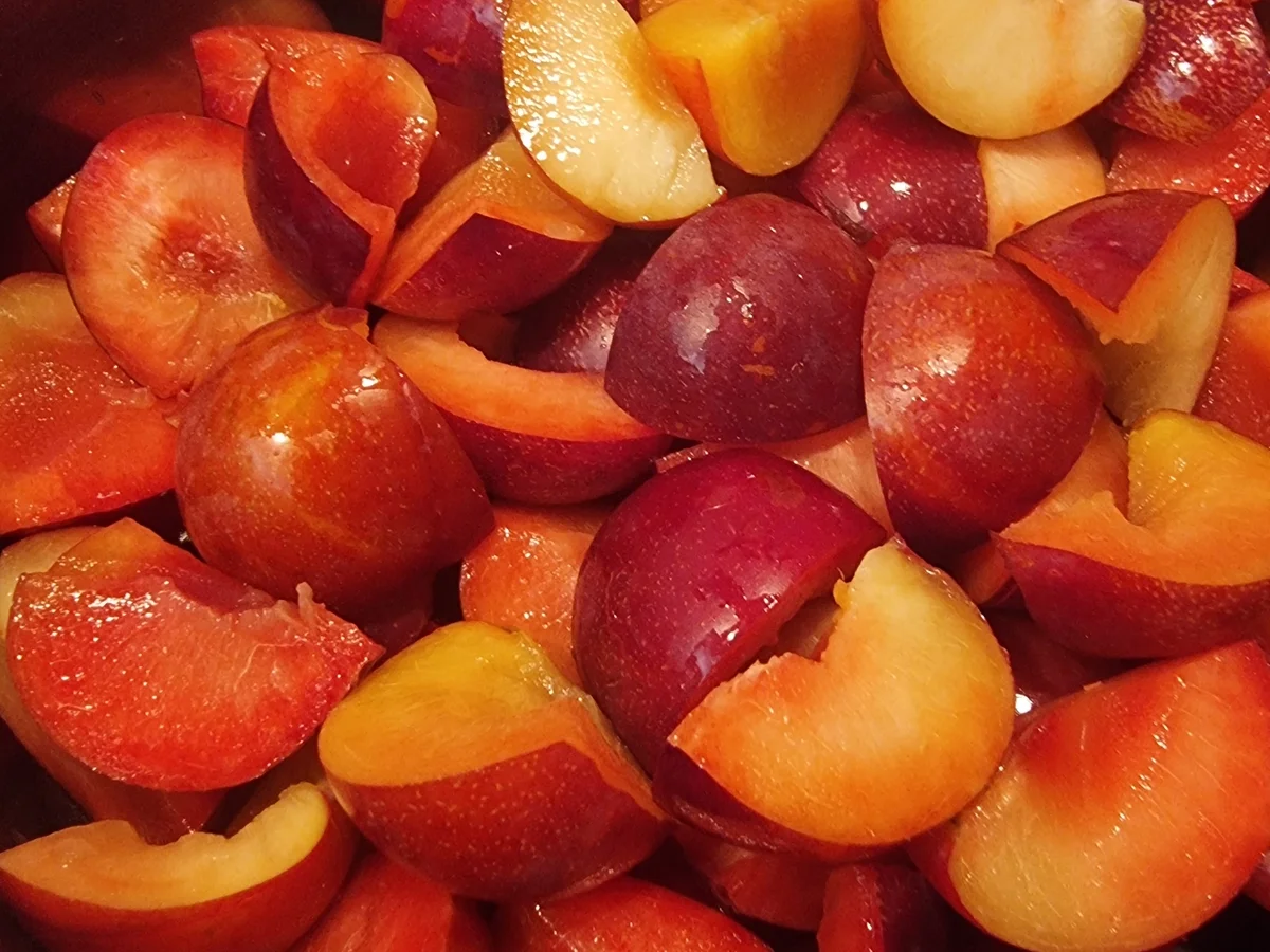 Rezept: Pflaumen-Marmelade mit Thymian Bild Nr. 17120 Pflaumen-Marmelade mit Thymian - Rezept - Bild Nr. 17120