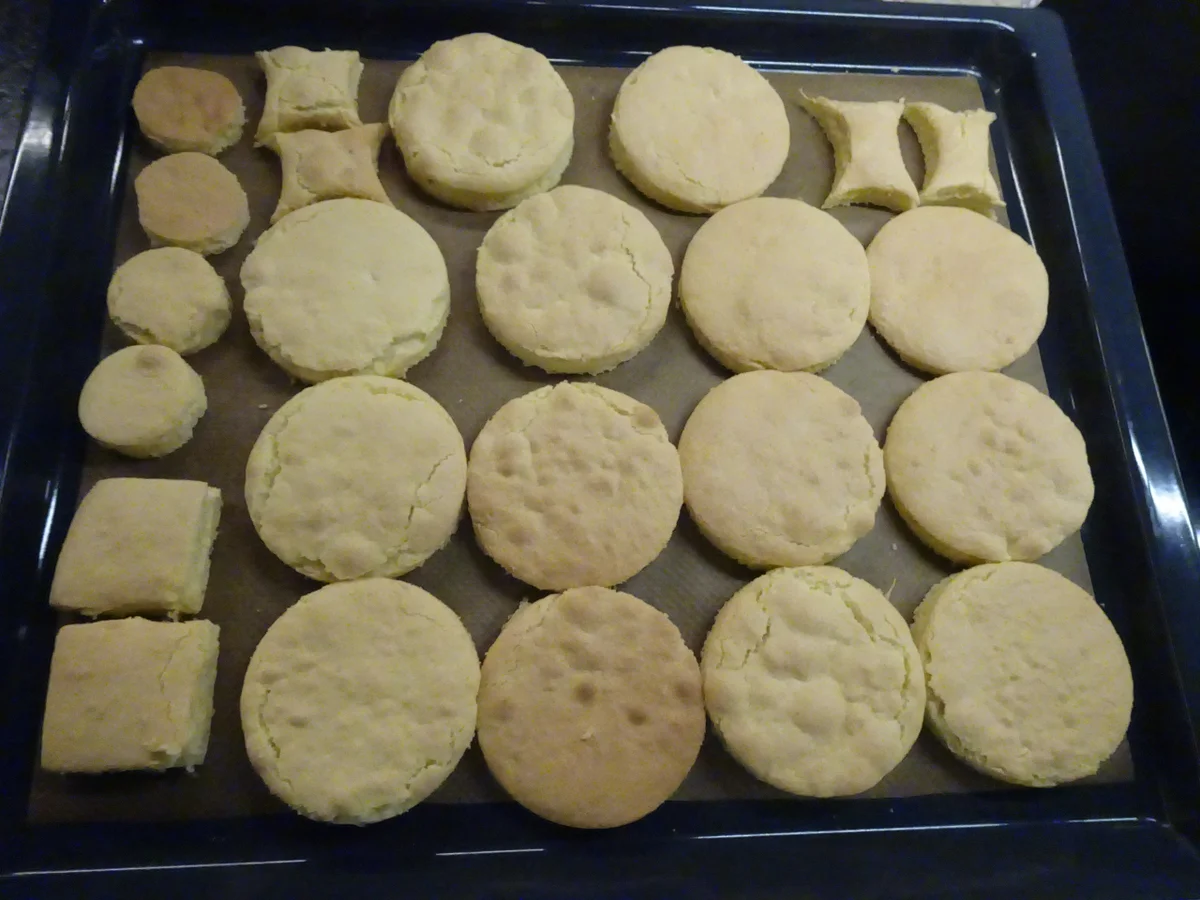 Rezept: Trauben Törtchen Bild Nr. 17128 Trauben Törtchen - Rezept - Bild Nr. 17128