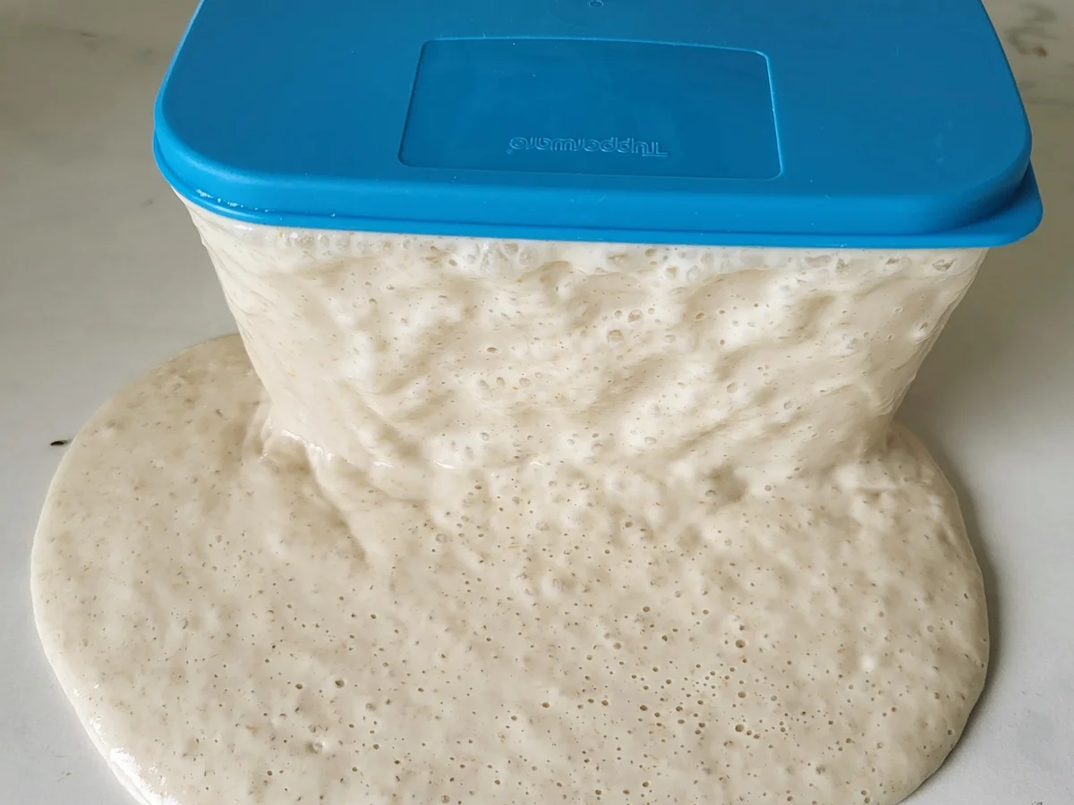 Oliven-Tomaten-Chorizo Foccacia (Sauerteig) - Rezept - Bild Nr. 17125