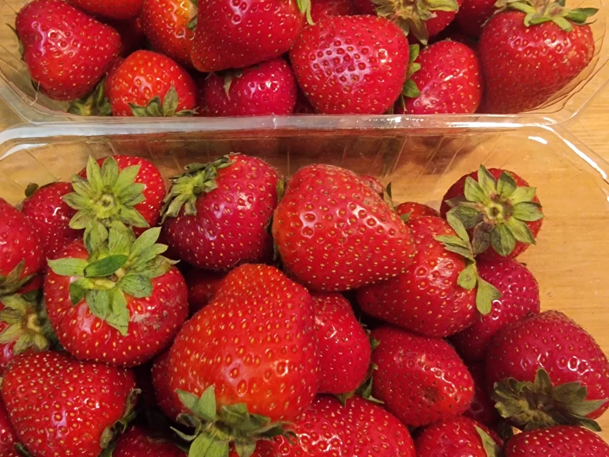 Rezept: Erdbeer-Vanille-Marmelade Bild Nr. 17130 Erdbeer-Vanille-Marmelade - Rezept - Bild Nr. 17130