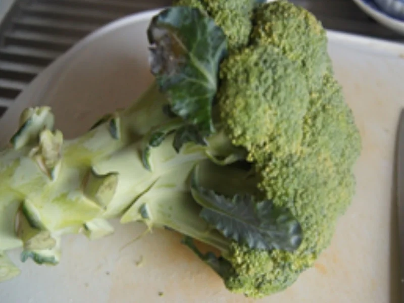 Knusprige Fisch-Sticks mit Brokkoli und Kartoffelstampf - Rezept - Bild Nr. 9