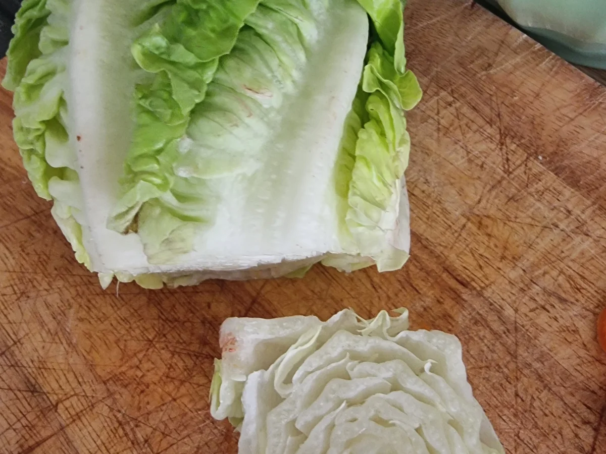 Veganer Maultaschen-Salat - Rezept - Bild Nr. 17147