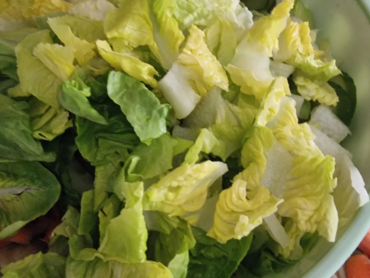 Veganer Maultaschen-Salat - Rezept - Bild Nr. 17148