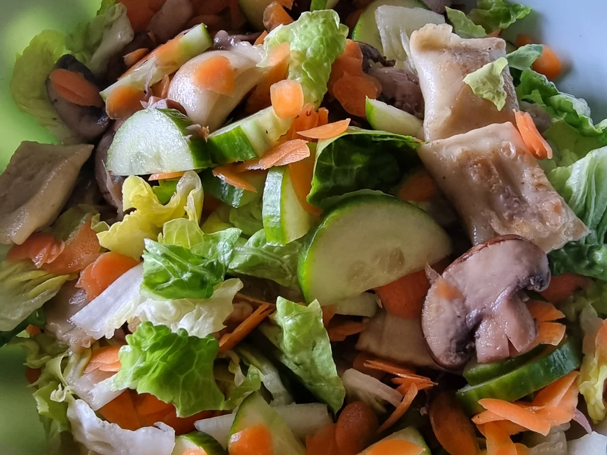 Veganer Maultaschen-Salat - Rezept - Bild Nr. 17149