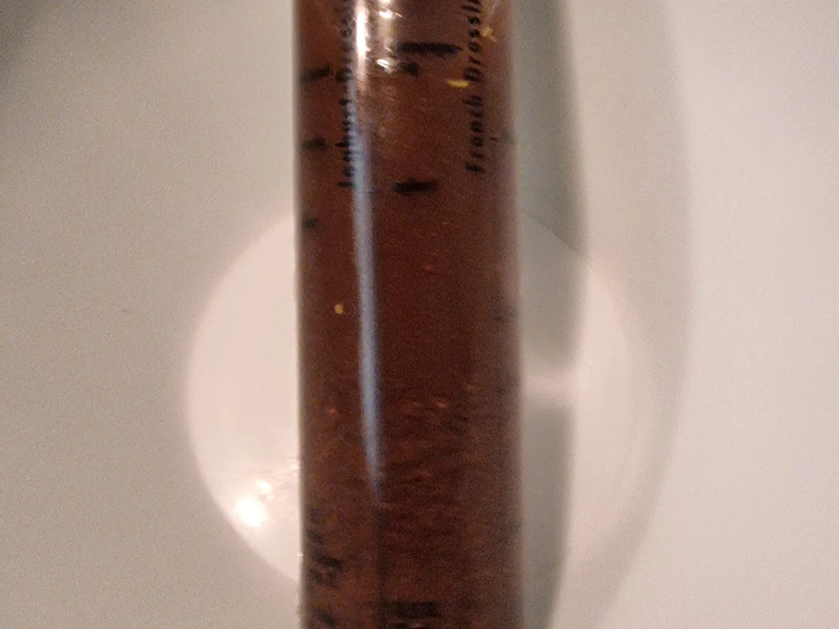 Veganer Maultaschen-Salat - Rezept - Bild Nr. 17150