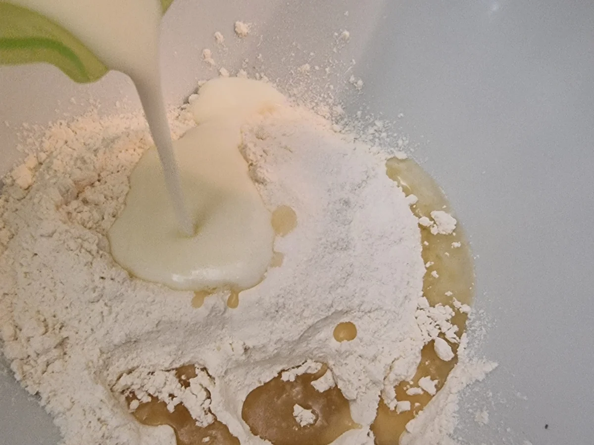 Flammkuchen mit Tomaten - Rezept - Bild Nr. 17136