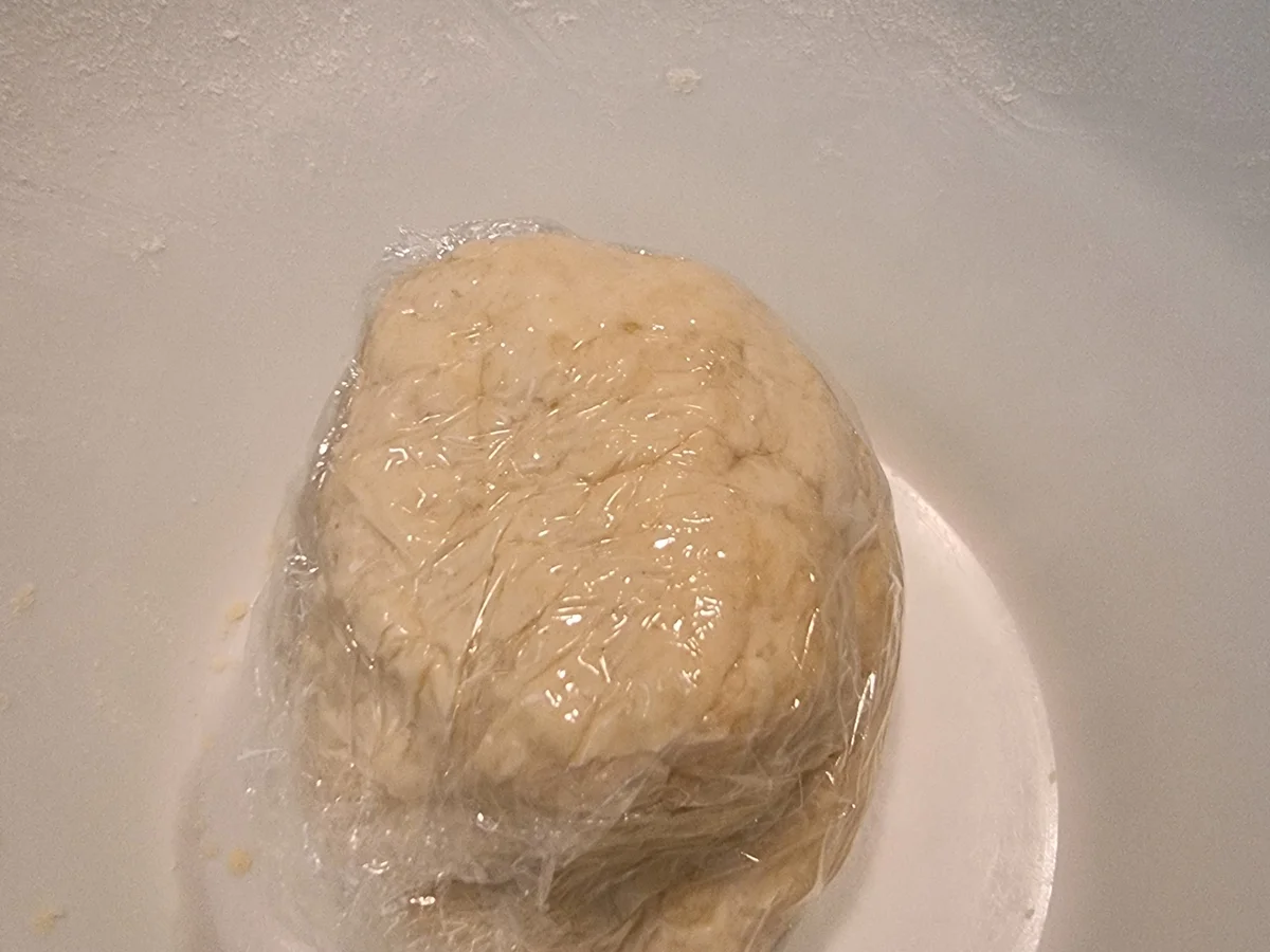 Flammkuchen mit Tomaten - Rezept - Bild Nr. 17139