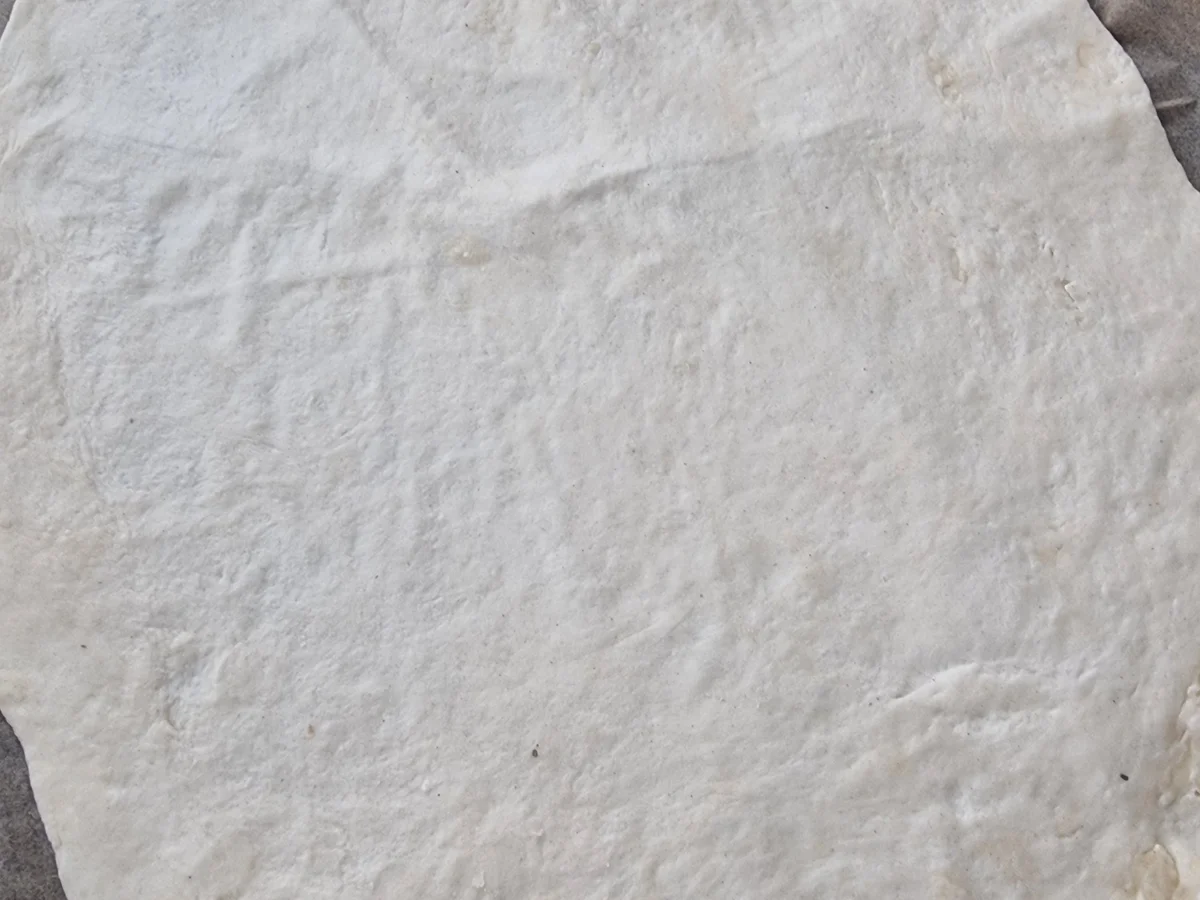 Flammkuchen mit Tomaten - Rezept - Bild Nr. 17141