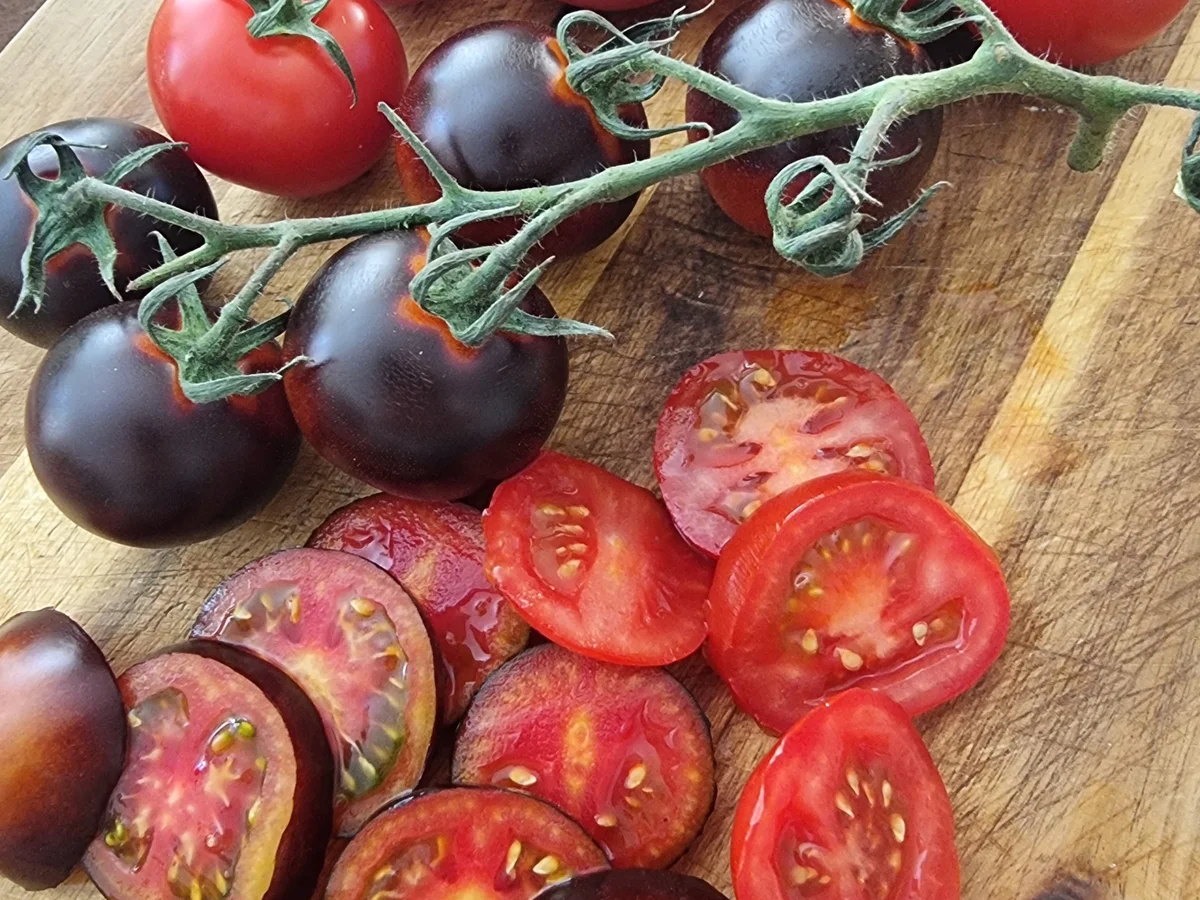 Flammkuchen mit Tomaten - Rezept - Bild Nr. 17144