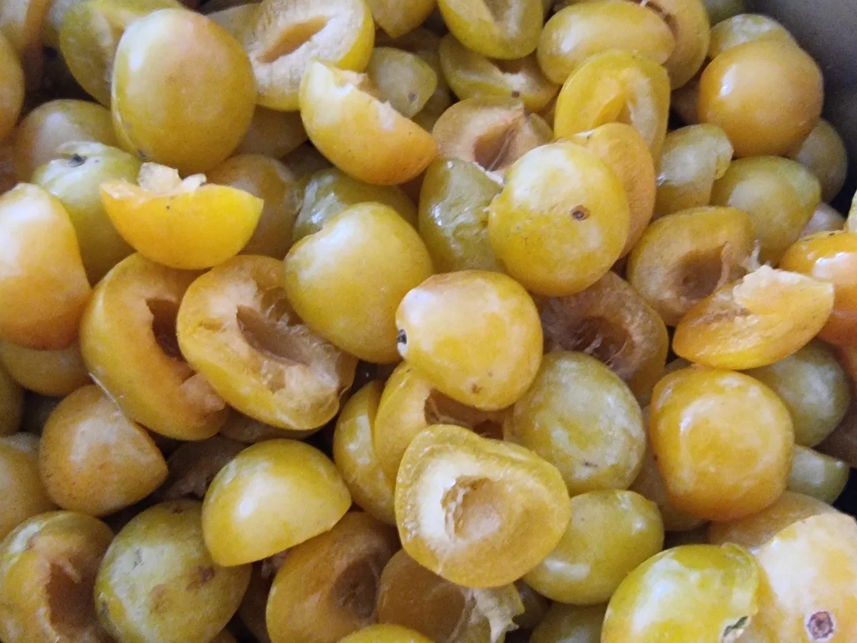 Rezept: Mirabellen-Thymian-Konfitüre Bild Nr. 17139 Mirabellen-Thymian-Konfitüre - Rezept - Bild Nr. 17139